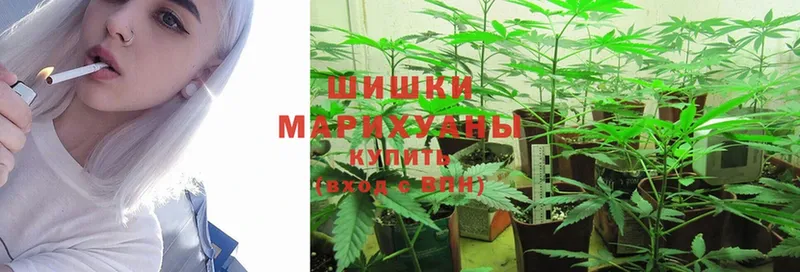 Бошки Шишки White Widow  Андреаполь 